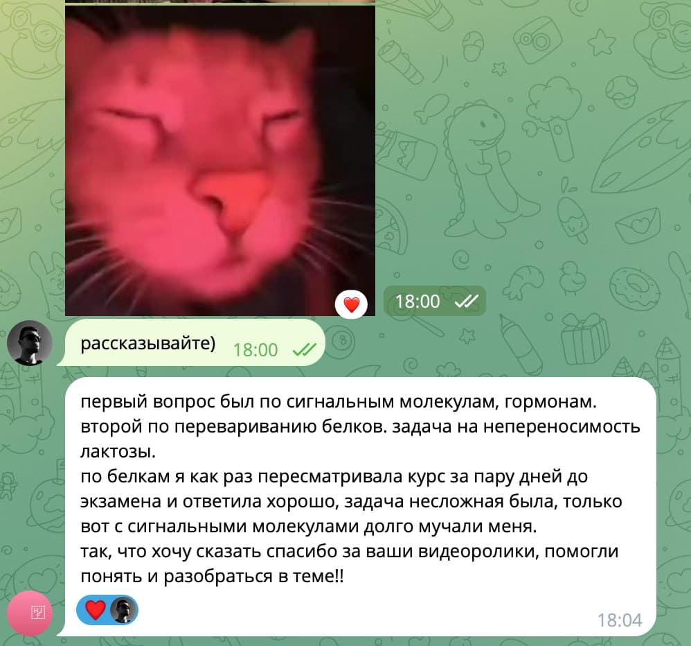 Отзыв ученика в Telegram — 3