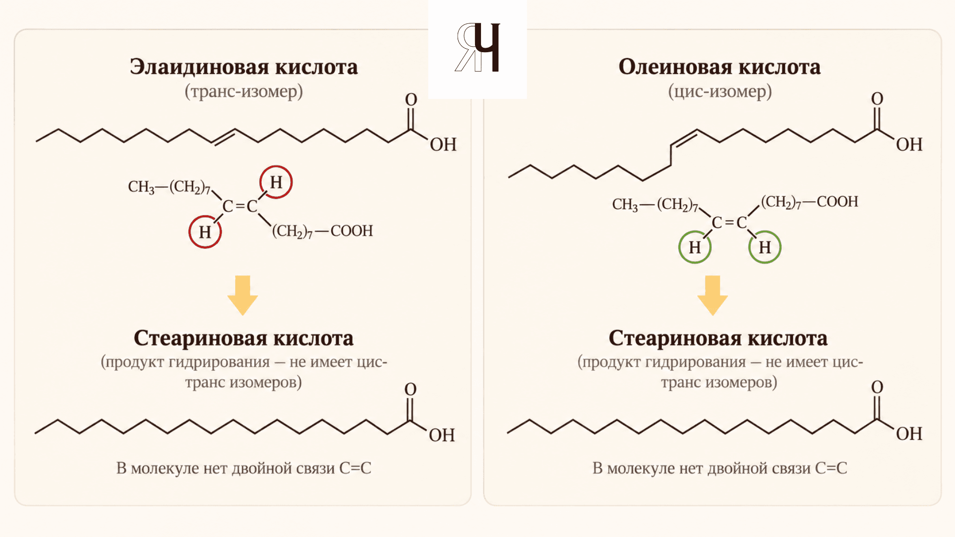 Схема цис- и транс-изомеров жирных кислот