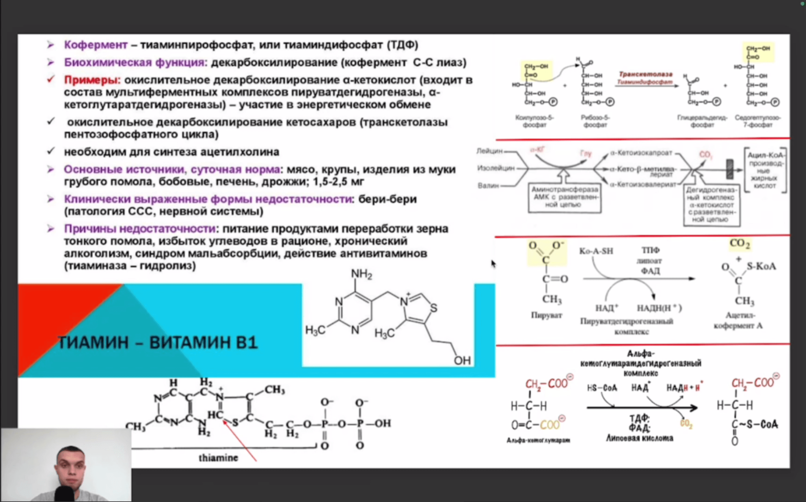 Профессиональные курсы